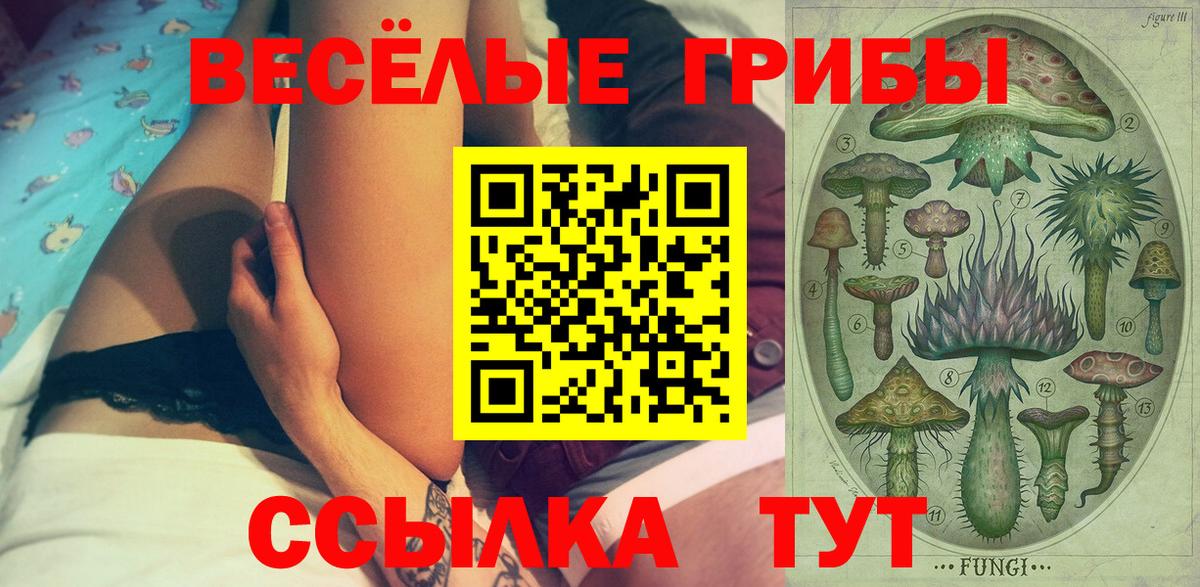 Псилоцибиновые грибы GOLDEN TEACHER Партизанск