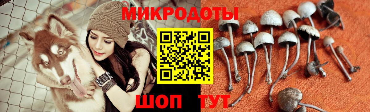 Партизанск  Псилоцибиновые грибы Psilocybine cubensis  Галлюциногенные грибы прущие грибы  Вход с VPN 